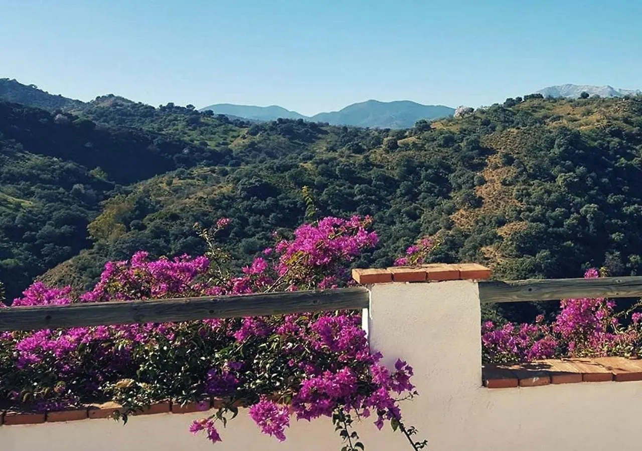 *** Alojamento de Acomodação e Pequeno-almoço Corazón Andaluz Guesthouse Coín Espanha